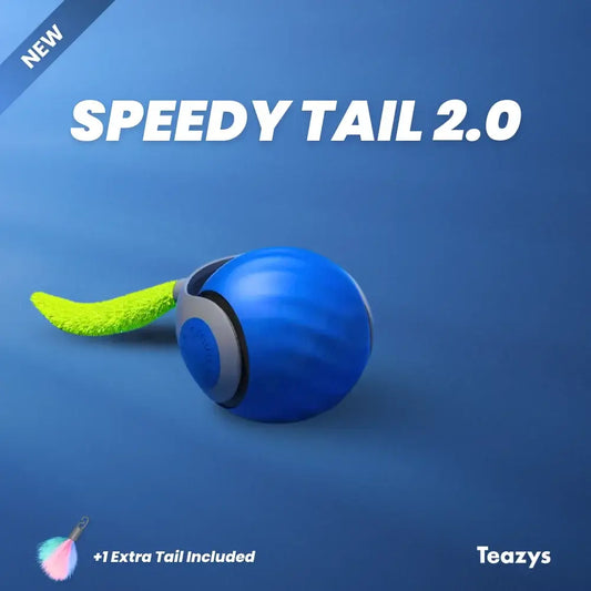 Interactive Cat Toy Ball