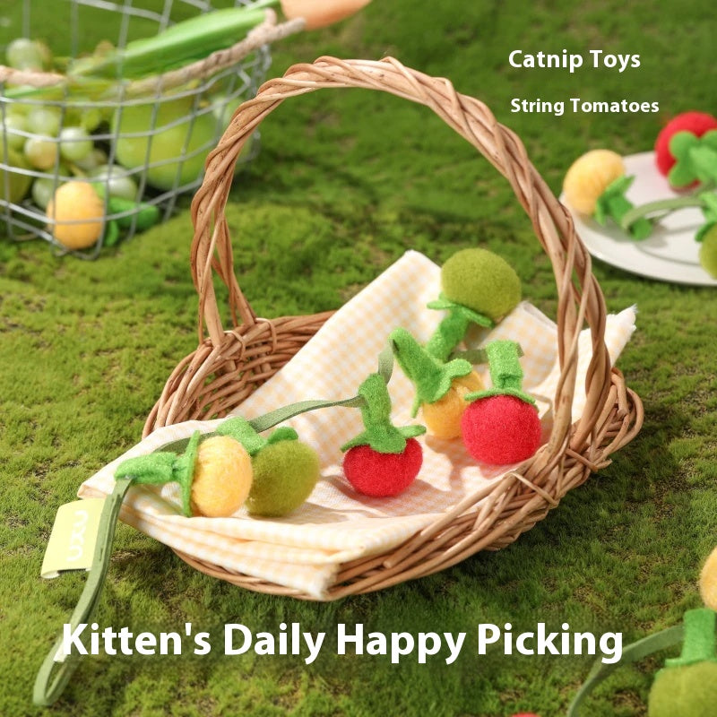 Hanging Cat Toy – Wool Felt Tomato Vine with Catnip & Bell for Interactive Play