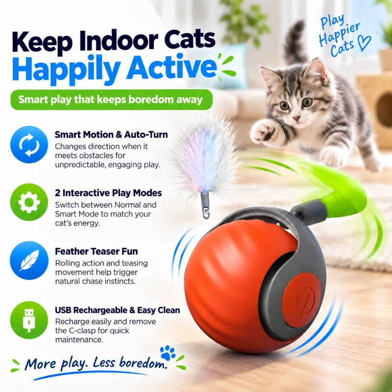 Interactive Rechargeable Cat Toy Ball