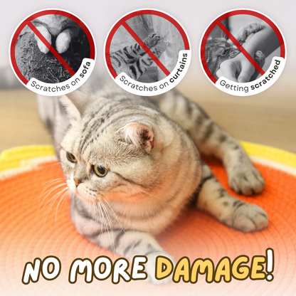 YoPoll Dual Scratching Pad