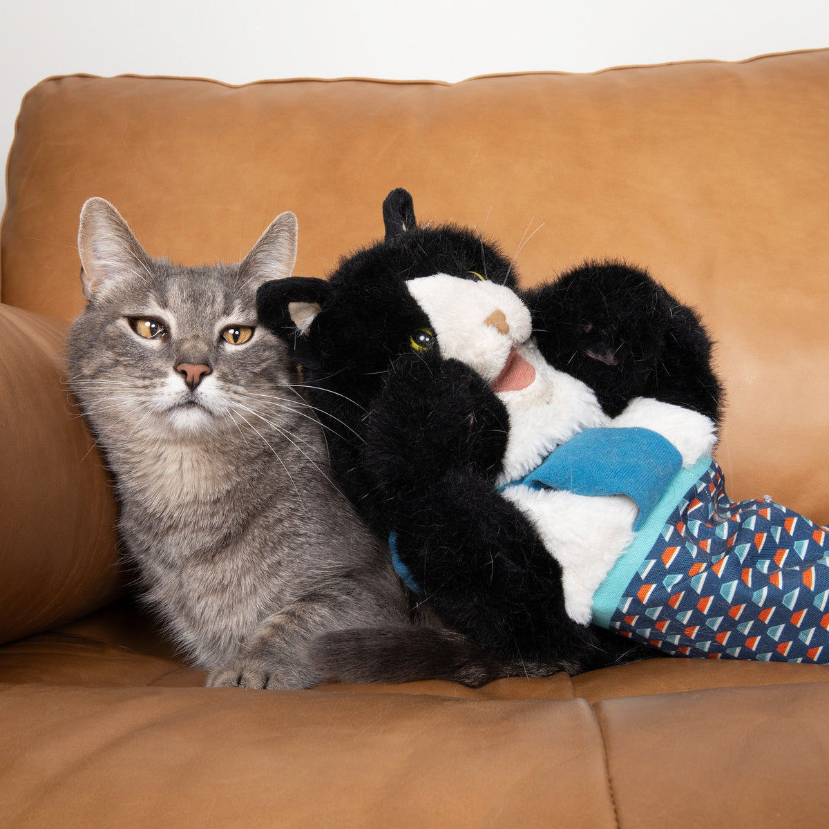 YoPoll Cat Wrestling Glove