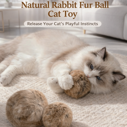 Soft Fluffy Cat Toy Ball