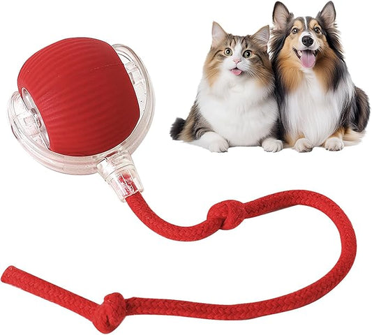 Yopoll interactive pet toy ball